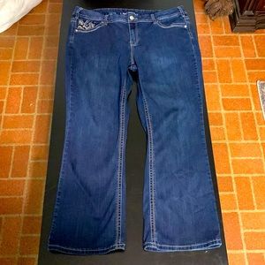 Lane Bryant Bootcut Jeans SZ 22